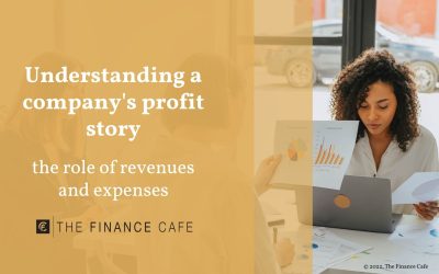 The Profit Story Class